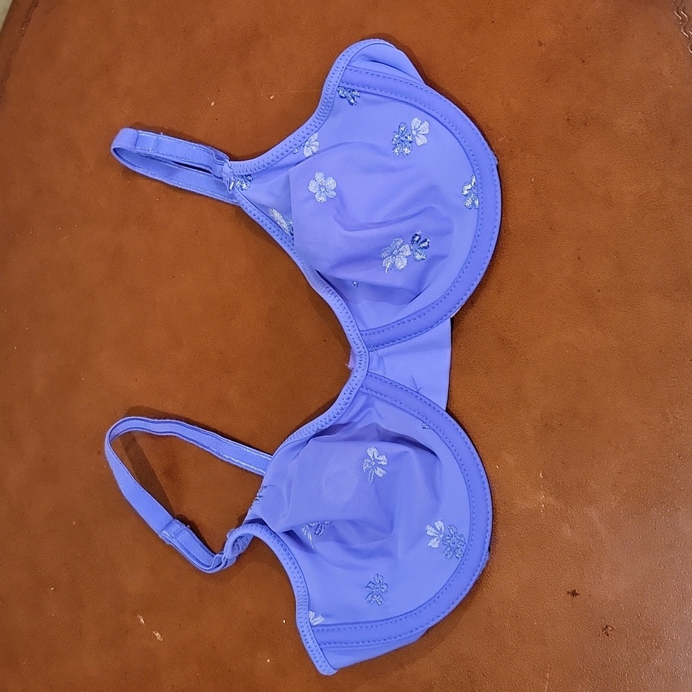 Warners 34B purple bra